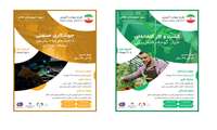 طرح مهارت آموزی تا اشتغال جوانان شهرستان خاتم یزد