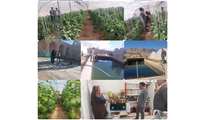 رئیس مرکز آموزش فنی و حرفه‌ای مهریز از ظرفیت‌های روستای طزنج بازدید کرد