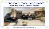تدوین رشته های مهارتی تخصصی در حوزه حنا و گیاهان دارویی در یزد کلید خورد